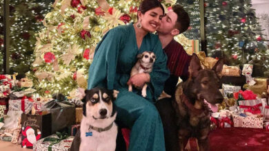 Nick, Priyanka share holiday postcard style Christmas greetings