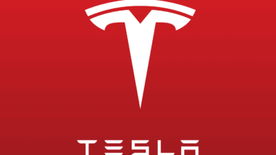 Tesla's holiday update brings TikTok, other features