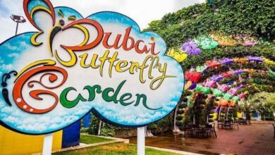 Dubai butterfly garden: World's largest garden