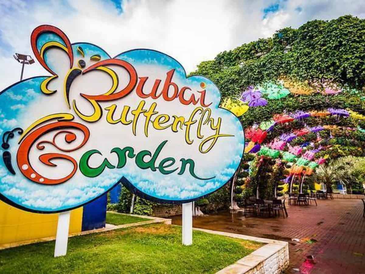 Dubai butterfly garden: World's largest garden