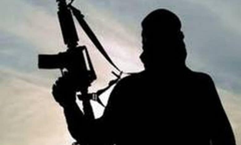 TTP backed by Al Qaeda, Afghan Taliban: UN