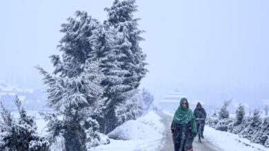 Unabated cold wave continues in J&K, Ladakh