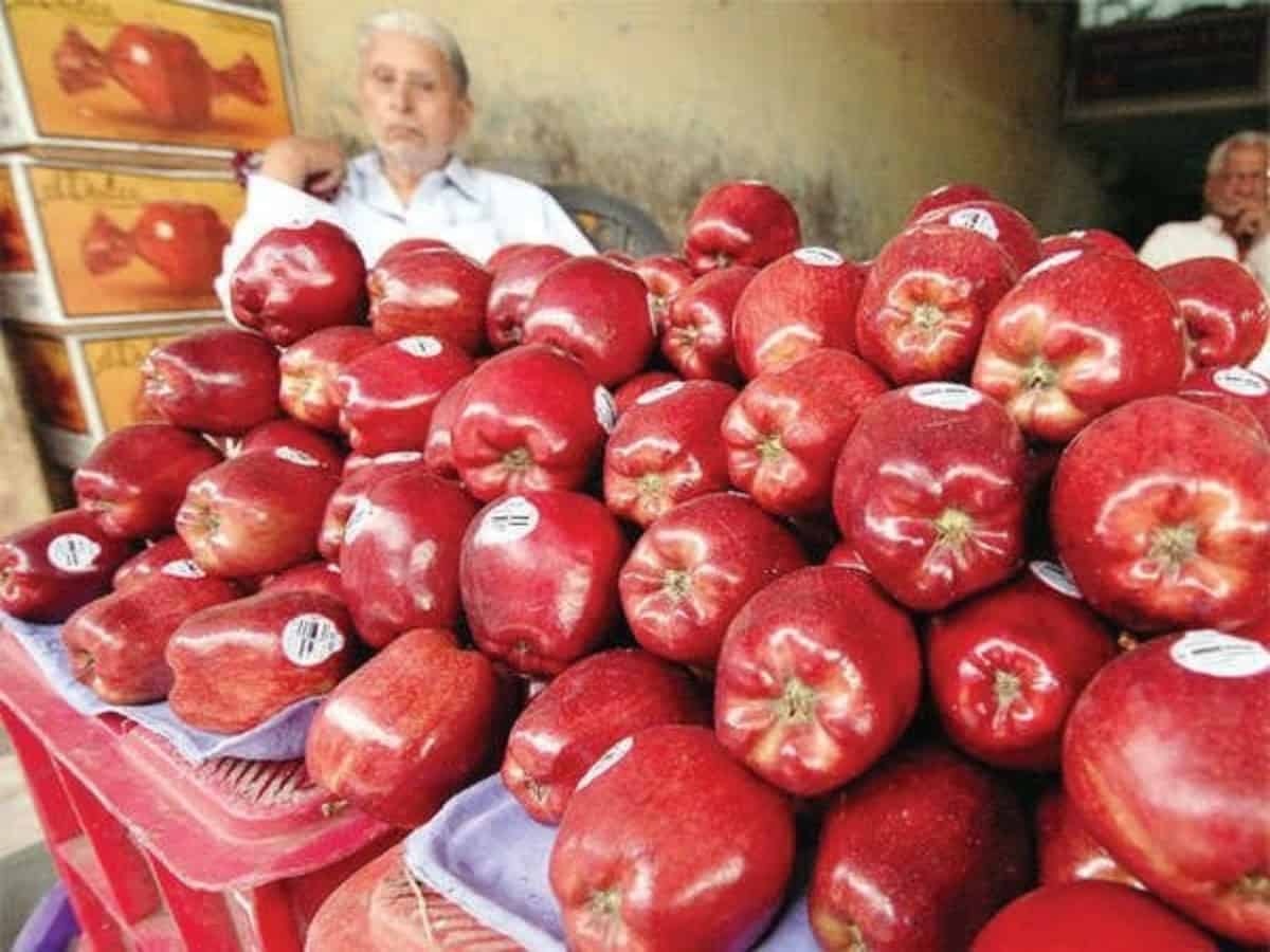 Iranian apple imports sound death knell for Kashmir apple industry