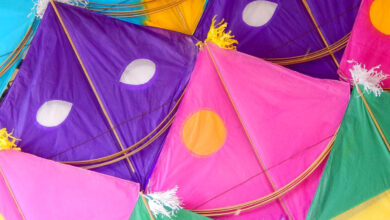 Hyderabad police ban kite flying on thoroughfares, DJ during Sankranti