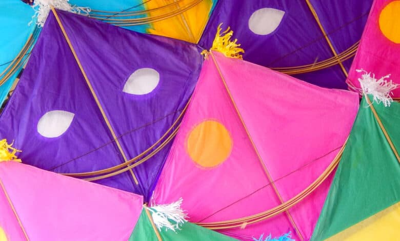 Hyderabad police ban kite flying on thoroughfares, DJ during Sankranti