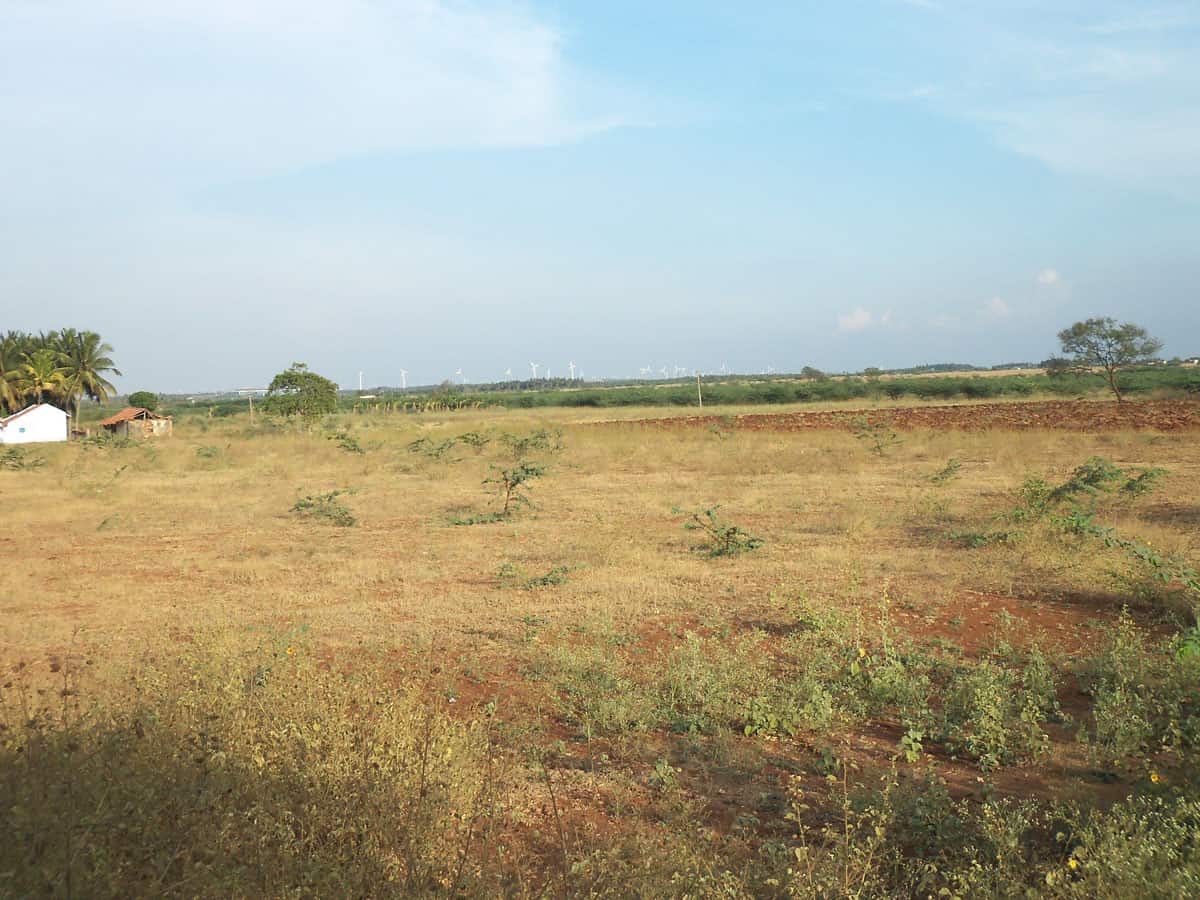 Madhya Pradesh: Muslim man donates land for samadhi of Jain monk