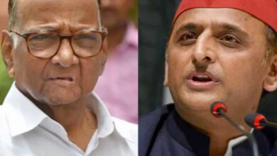 NCP to tie up with Samajwadi Party in UP elections: Pawar