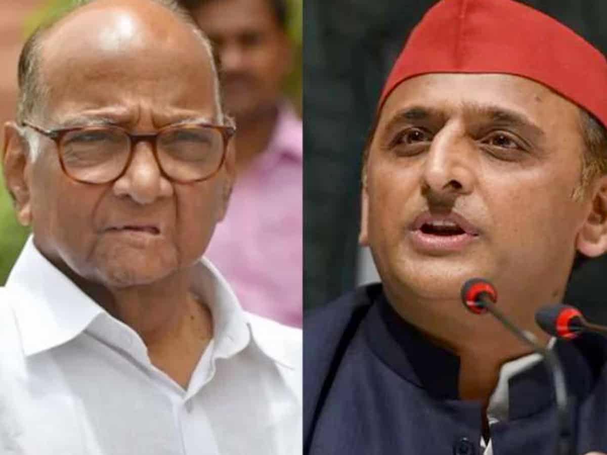 NCP to tie up with Samajwadi Party in UP elections: Pawar