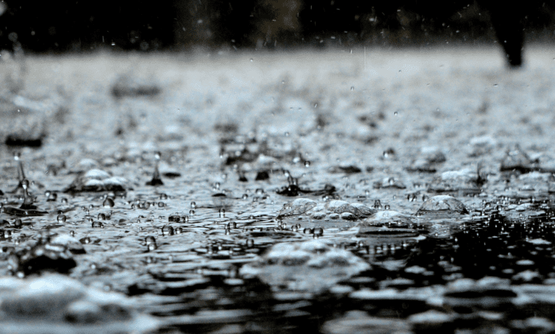 GHMC selects five parks to recharge groundwater in Hyderabad