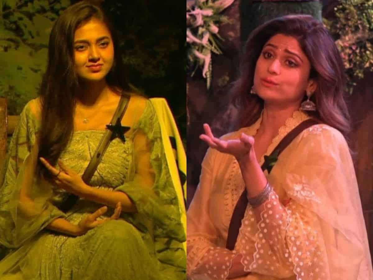 Bigg Boss 15: Top contestant removed from finale week