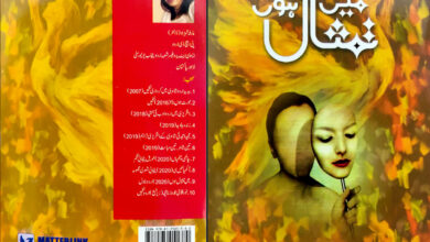 Tantalizing not titillating—A whiff of bold narrative from Pakistan