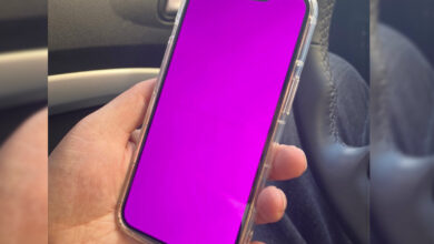 iPhone 13 'pink screen' issue affects small number of users