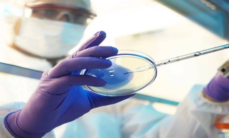 Hyderabad: CCMB study reveals how sugar metabolism makes fungi dangerous