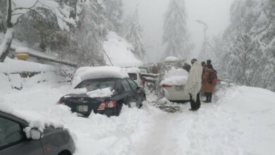 Future of Murree as Pakistan’s premier hill resort is grim, says an expert