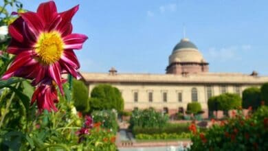 Mughal Gardens