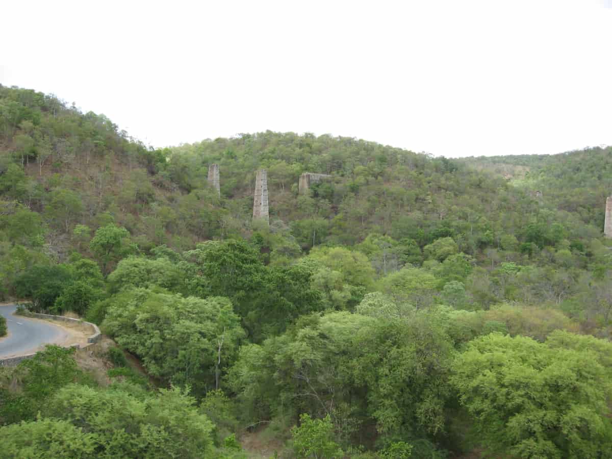 Telangana's Nallamala forests