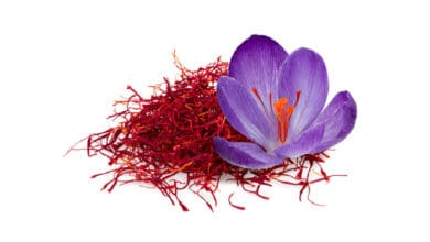 Saffron