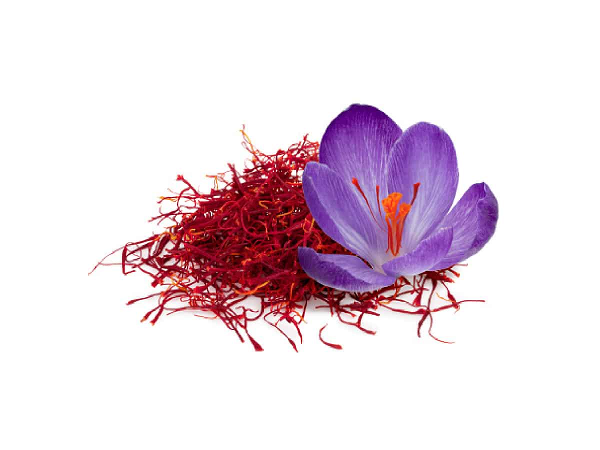 Saffron