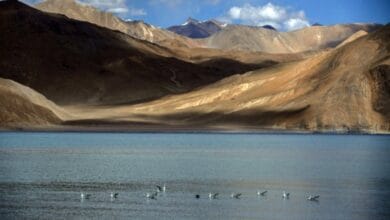 Chinese bridge on Pangong Lake being built in area occupied illegally: Govt in LS