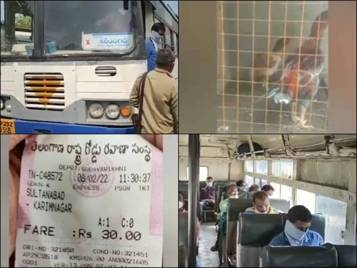 Telangana: Man boards TSRTC bus with hidden rooster, asked to pay rooster's fare