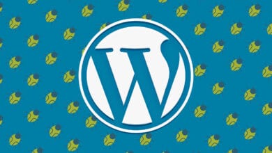 Serious bug in WordPress plugin with over 3 mn installations found