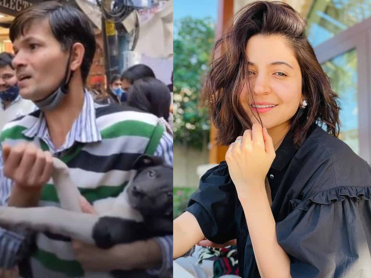 Anushka Sharma praises Delhi man for taking care of an injured stray dog