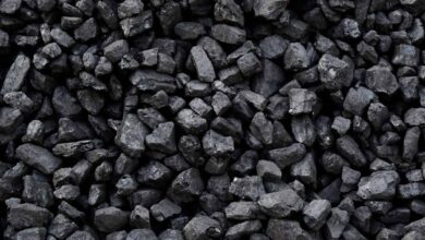 Coal India to import fuel for the first time since 2015 as power cuts loom
