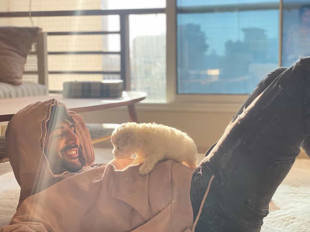 Kartik Aaryan introduces his pet dog 'Katori' to fans