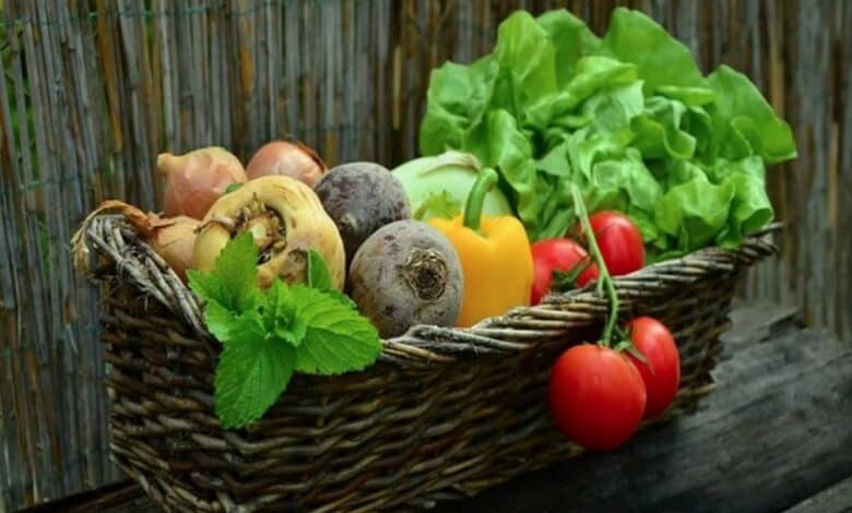 Telangana: Horticulture dept to host workshop on 'Urban farming'