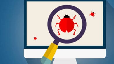 AI-powered app to protect Australia from invasive stink bugs