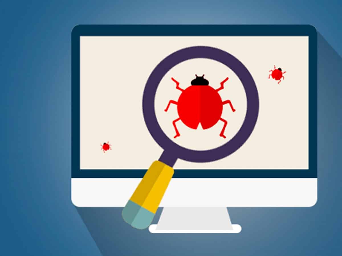 AI-powered app to protect Australia from invasive stink bugs