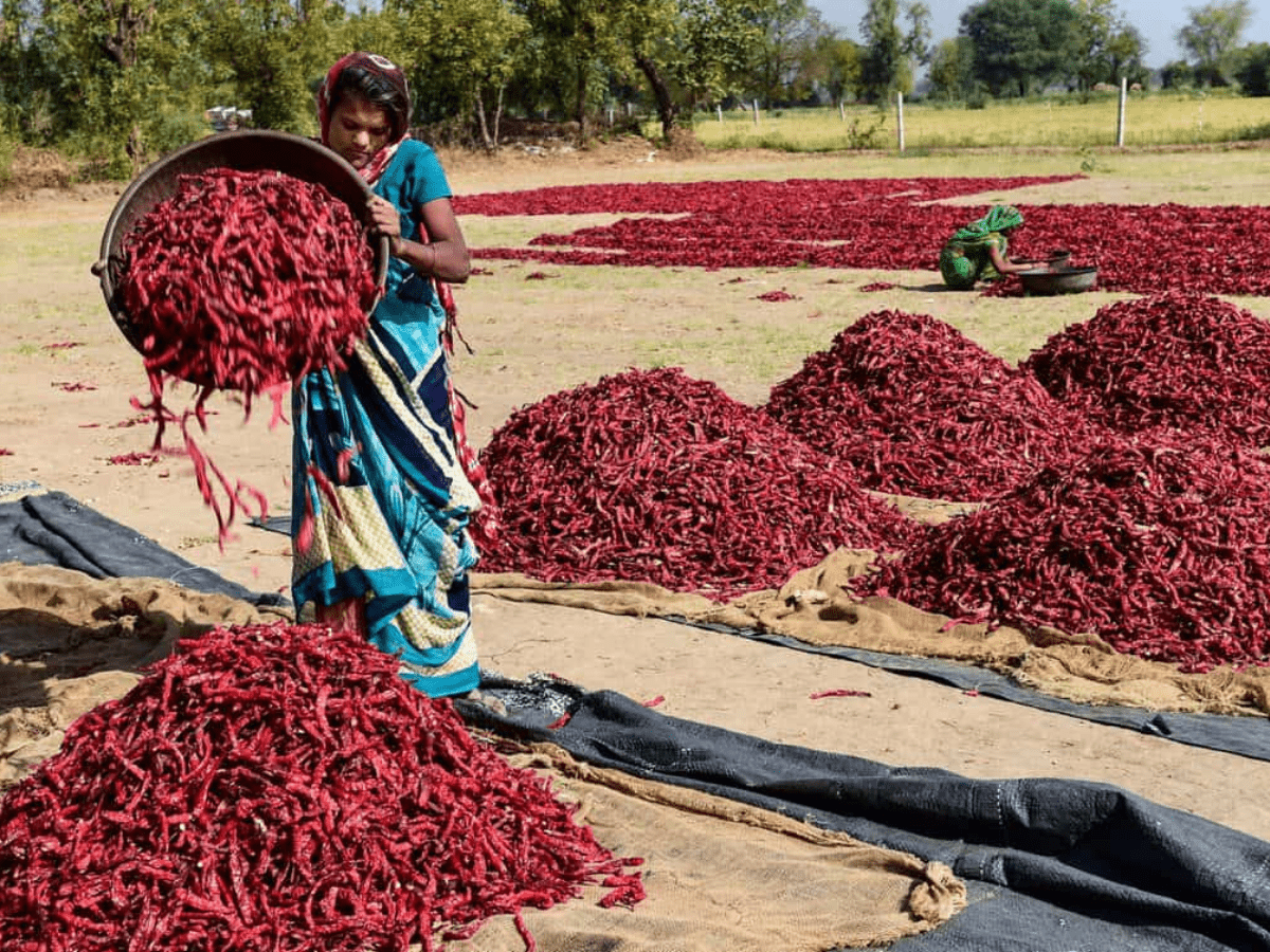 red chilli