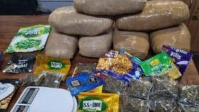Telangana: Four drug peddlers held; 120 kg ganja, hashish oil seized