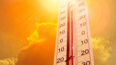 Heat wave conditions can be fatal for those with comorbidities