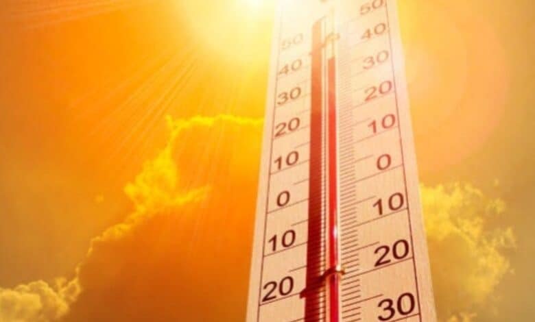 India to see warmer summer, more heatwave days this year: IMD