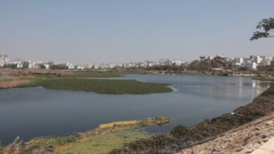 Hyderabad: New lease of life for 61 lakes under GHMC