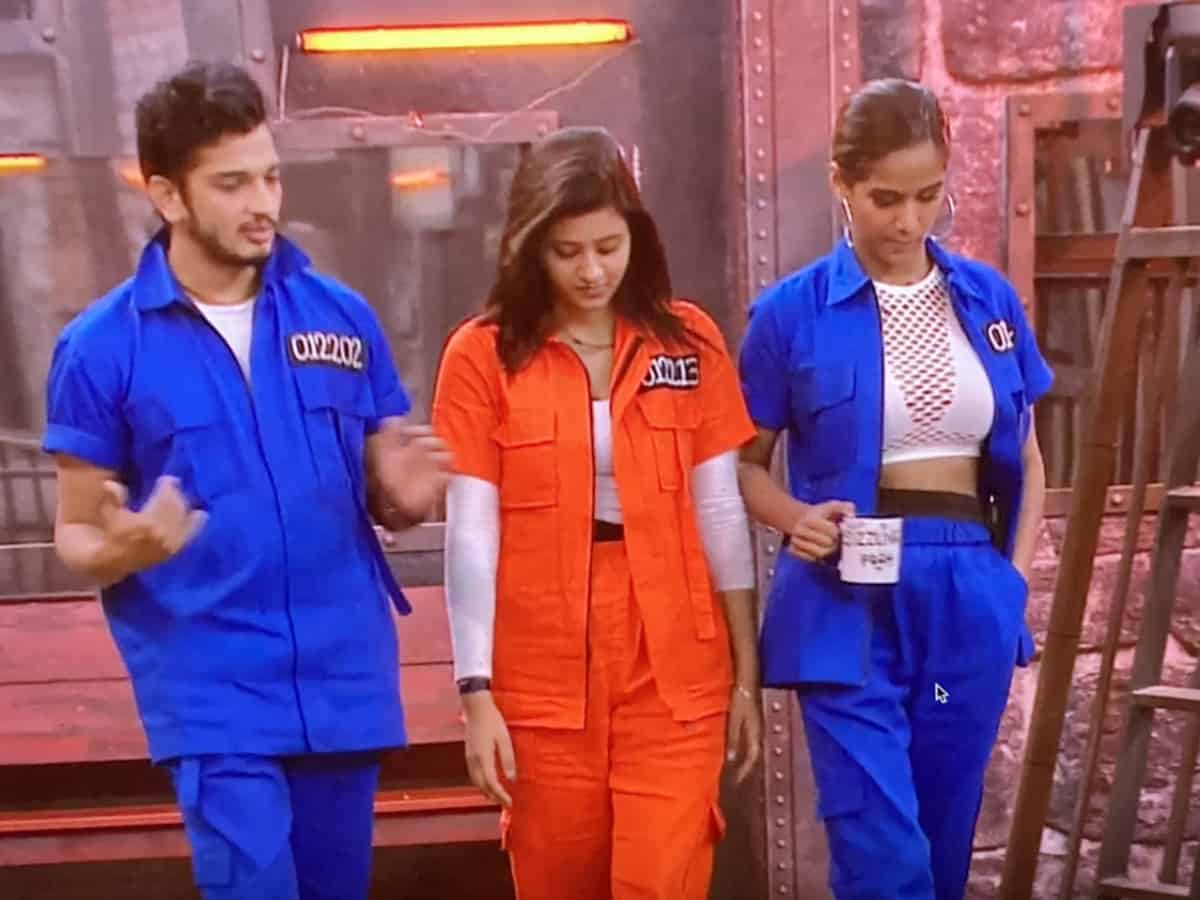 Lock Upp: Two contestants removed from the show