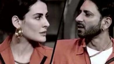 Ali Merchant, Mandana Karimi fight over food in 'Lock Upp'