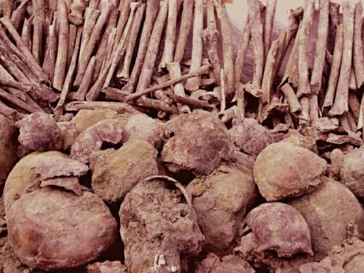 Skeletons found in Ajnala belong to Gangetic plain martyrs of 1857: Study