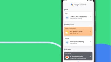 Google Assistant Snapshot disappears from phones