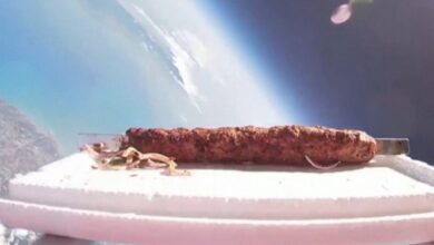 Watch: Turkish restaurant owner launches kebab into space
