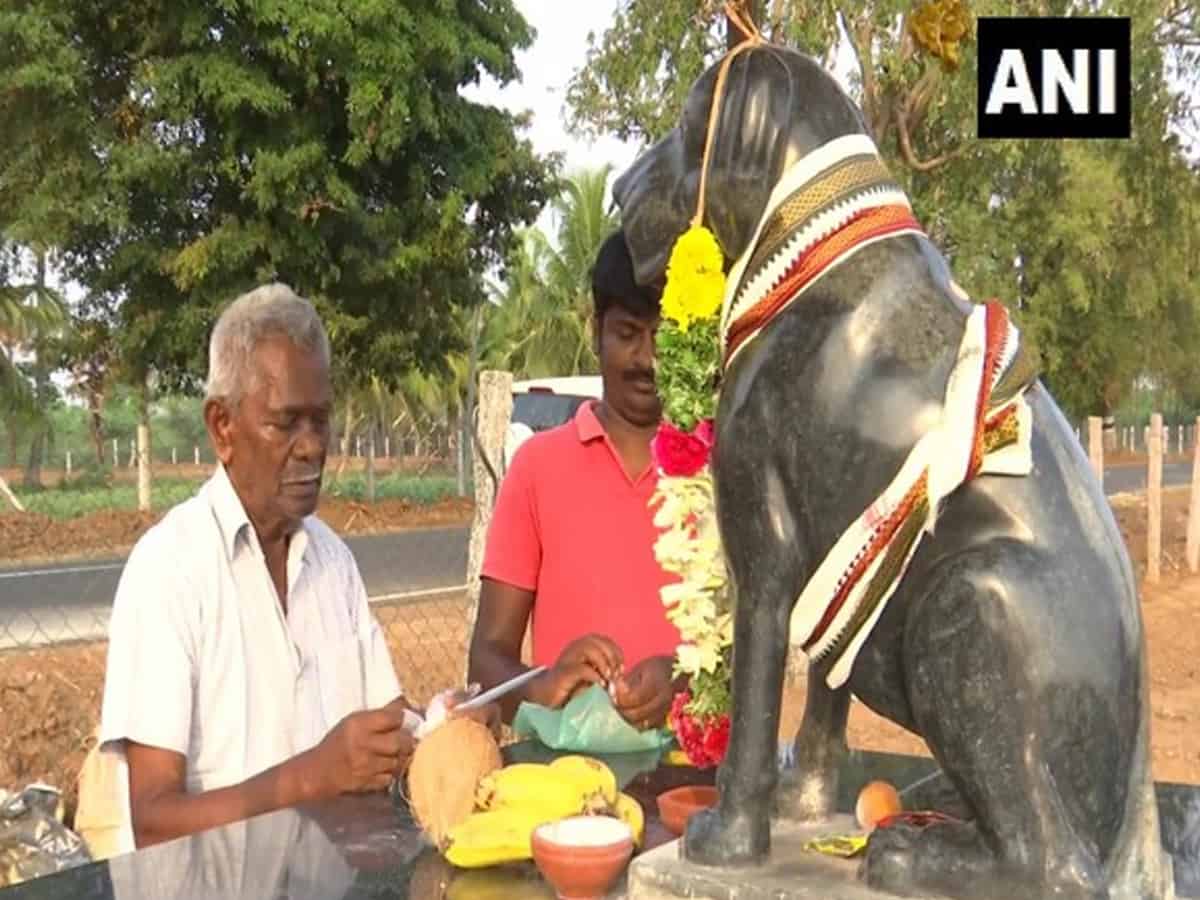 Tamil Nadu: Man builds temple in memory of his pet dog