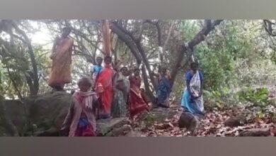 AP: Tribal women stage 'mock suicide' protest against cashew crop destruction