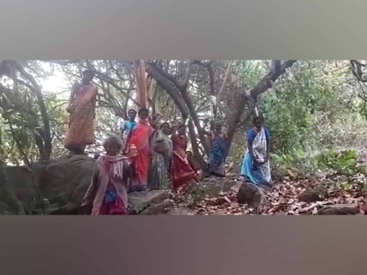 AP: Tribal women stage 'mock suicide' protest against cashew crop destruction