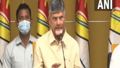 TDP National President N Chandrababu Naidu