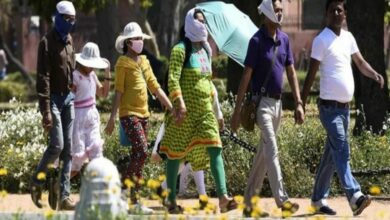 heatwave in telangana