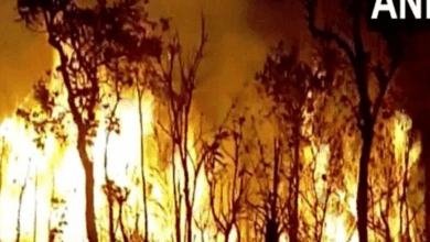 Fire breaks out in forest region of Tirumala