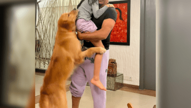 Akshay Kumar adorably hugs his daughter