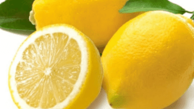 Lemon