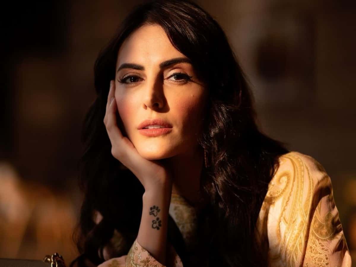 Mandana Karimi bashed for dancing inappropriately in Burqa